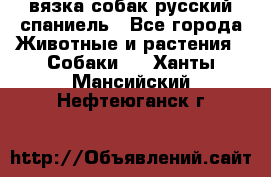 вязка собак русский спаниель - Все города Животные и растения » Собаки   . Ханты-Мансийский,Нефтеюганск г.